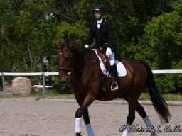 2013 Sommerturnering